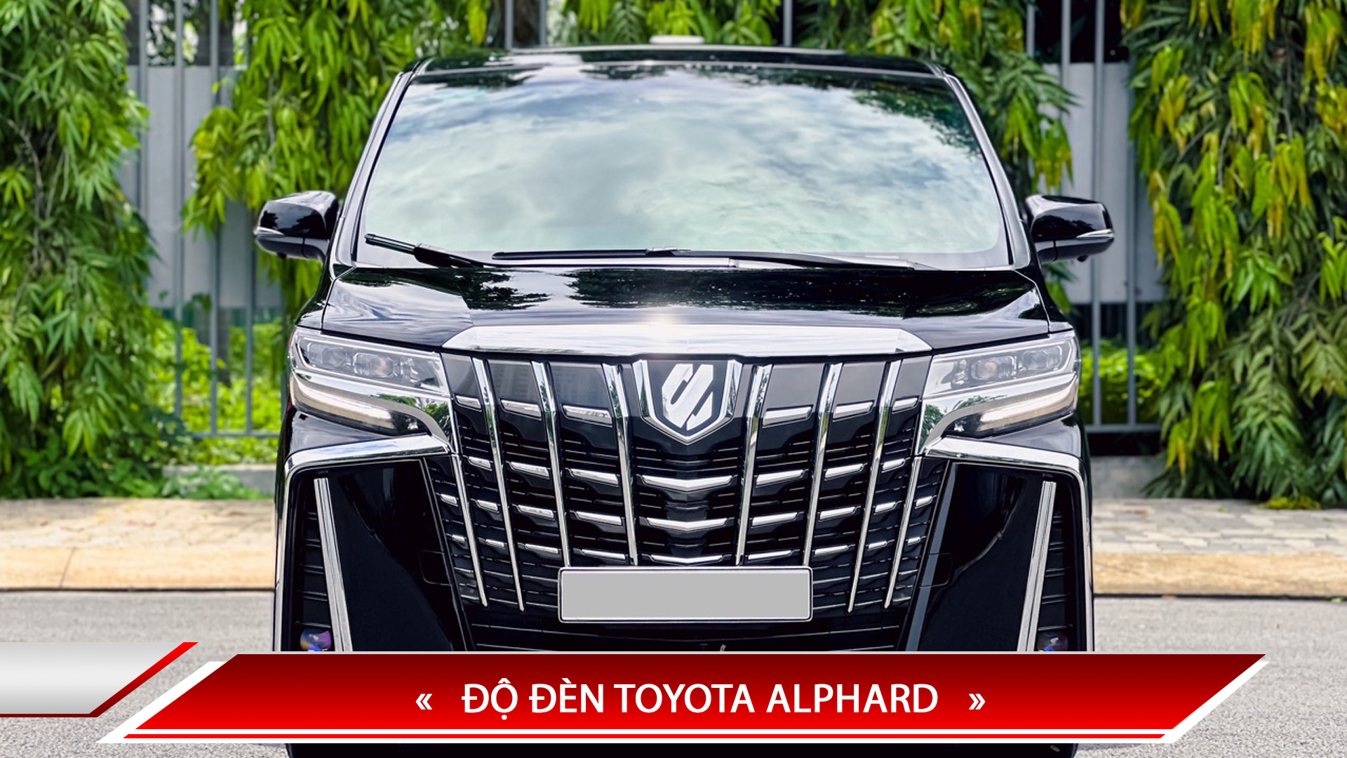 ĐỘ ĐÈN TOYOTA ALPHARD